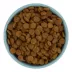 Top Paw® Anti-Slip Bowl image thumbnail 5