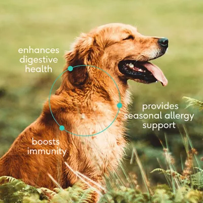 Product  Native Pet Colostrum, 2.2 Oz