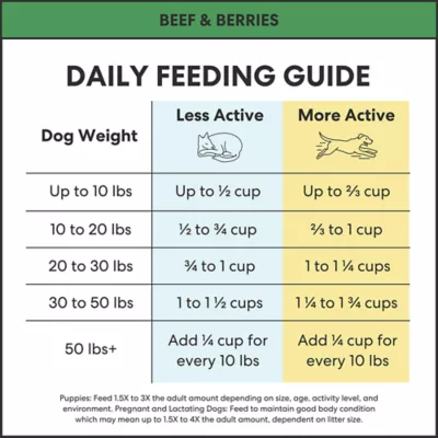 The Pets Table Air-Dried All Life Stages Dry Dog Food - Beef & Berries - Image 10