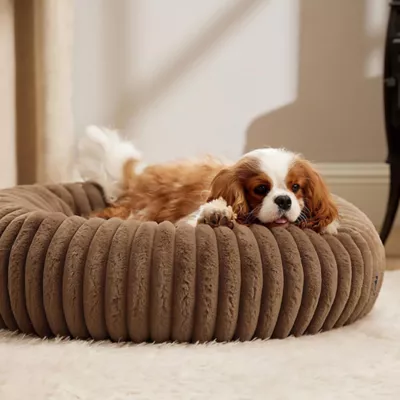Bedsure® Donut Bolster Dog Bed with Removable Washable Cover - Image 7