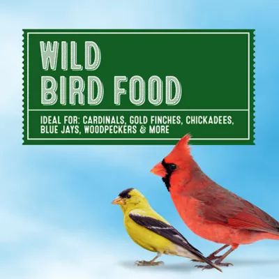 All Living Things® Wild Bird Seed - Image 2