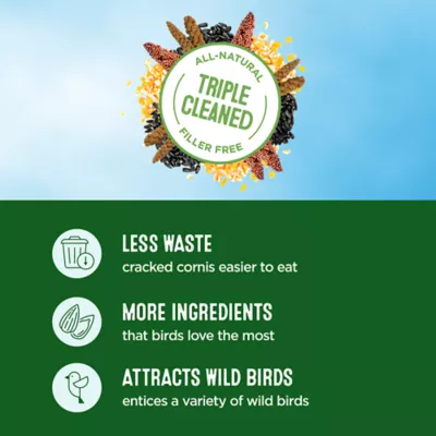 All Living Things® Wild Bird Seed - Image 3