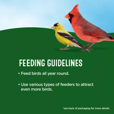 All Living Things® Wild Bird Seed - Image 5