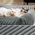 Bedsure® Pet Sofa Bed - Fluffy Dog Bed & Cat Couch with Removable Washable Cover image thumbnail 3
