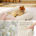 Bedsure® Cute Dog Bed for Dog & Cat, with Washable Cover image thumbnail 3