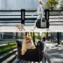 Lesure® Dog Car Seat - Booster Seat for Small Dogs image thumbnail 7