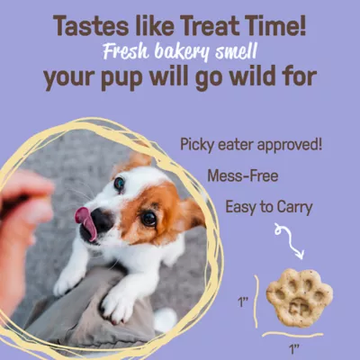 Cookie Pal All Life Stages Soft & Chewy Dog Treats - Blueberry & Pumpkin 3.5 oz - Image 3