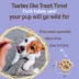 Cookie Pal All Life Stages Soft & Chewy Dog Treats - Blueberry & Pumpkin 3.5 oz image thumbnail 3
