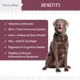 Product Chew + Heal Senior Advanced 12-in-1 Multivitamin Soft Chews for Dogs