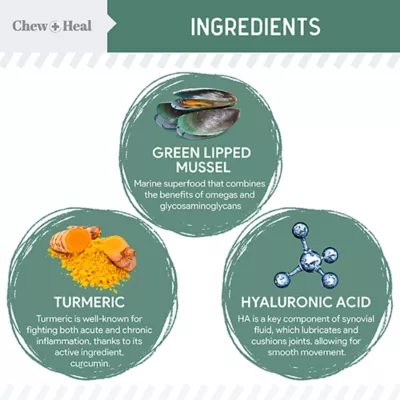 Chew + Heal Senior Advanced Hip + Joint Supplement Soft Chews for Dogs - Image 3