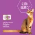 Tiki Cat Veterinary Solutions Gluco-Balance Wet Cat Food - Chicken & Chicken Liver, Shreds image thumbnail 2