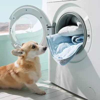 Product Bedsure® Cooling Mat for Dogs