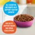 Meow Mix® Kitten Li'l Nibbles® Dry Cat Food - Chicken,Turkey,Salmon,Ocean Fish image thumbnail 4