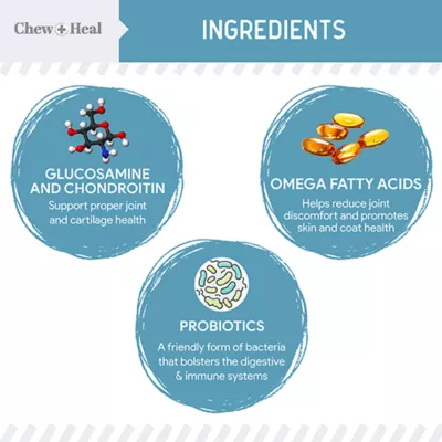 Product Chew + Heal Daily 12-in-1 Multifunctional Support Multivitamin Powder for Dogs