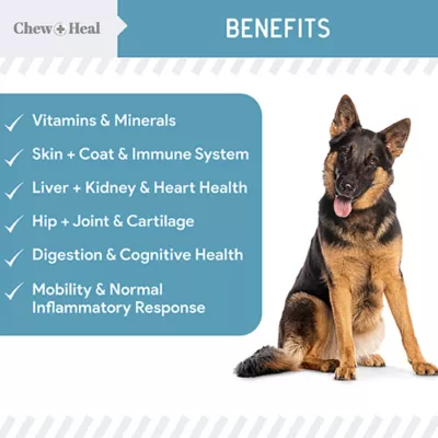 Product Chew + Heal Daily 12-in-1 Multifunctional Support Multivitamin Powder for Dogs