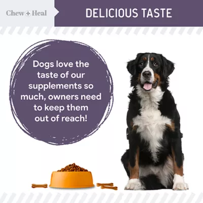Product Chew + Heal Senior Advanced Mobility + Vitality Flavored Supplement Tablets for Dogs