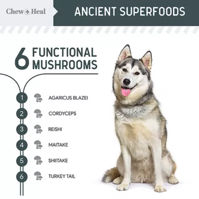 Product Chew + Heal Immune Support Mushroom Complex Soft Chews for Dogs