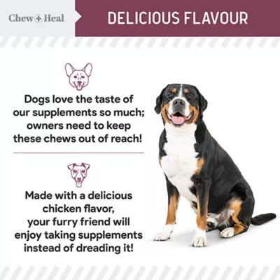 Product Chew + Heal Senior Advanced 12-in-1 Multivitamin Soft Chews for Dogs