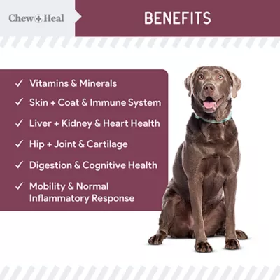 Product Chew + Heal Senior Advanced 12-in-1 Multivitamin Soft Chews for Dogs