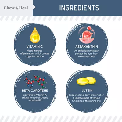 Chew + Heal Senior Dog Advanced Vision & Cognition Supplement Soft Chews, Made in USA, 60ct, 120ct - Image 2