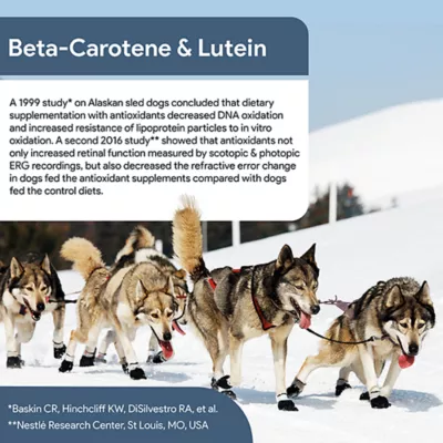 Chew + Heal Senior Dog Advanced Vision & Cognition Supplement Soft Chews, Made in USA, 60ct, 120ct - Image 4