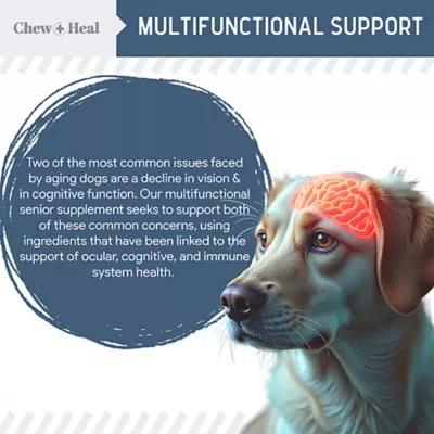 Product Chew + Heal Senior Advanced Vision + Cognition Supplement Soft Chews for Dogs
