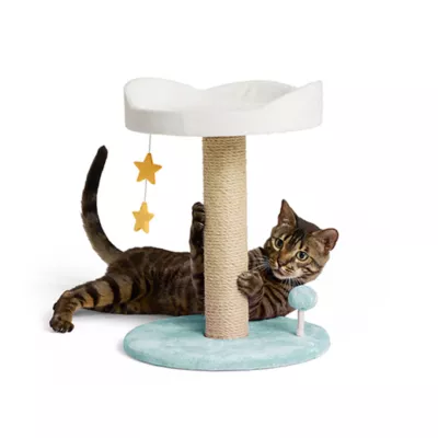 Product Whisker City® Cloud Scratch Post