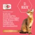 Tiki Cat Veterinary Solutions GI-Health Wet Cat Food - Tuna, Seabass & Pumpkin in Tuna Broth, Flaked image thumbnail 2