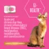 Tiki Cat Veterinary Solutions GI-Health Wet Cat Food - Chicken & Pumpkin in Chicken Broth, Mousse image thumbnail 2