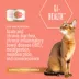 Tiki Cat Veterinary Solutions GI-Health Wet Cat Food - Chicken, Egg & Pumpkin, Shreds image thumbnail 2