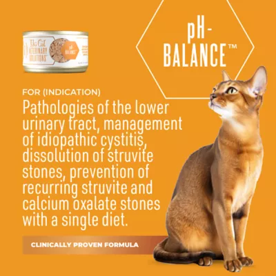 Tiki Cat Veterinary Solutions pH-Balance Wet Cat Food - Chicken in Chicken Broth, Shreds - Image 2