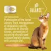 Tiki Cat Veterinary Solutions pH-Balance Wet Cat Food - Chicken in Chicken Broth, Mousse image thumbnail 2