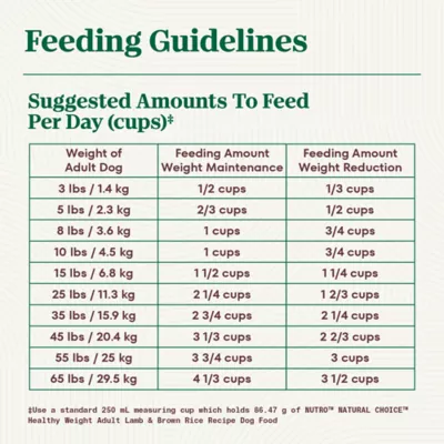 Nutro Natural Choice Adult Dry Dog Food, Lamb & Brown Rice - Image 2