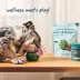 WOOF Dog Hip & Joint Health Pupsicle Pops Refill - Sizes Small, Large and XL - 10, 7 or 5 Count image thumbnail 5