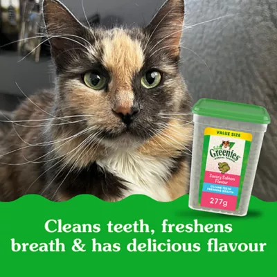 Product Greenies Adult Cat Dental Treats, Dental Care, Natural - Salmon Flavour