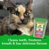 Greenies Adult Cat Dental Treats, Dental Care, Natural - Salmon Flavour image thumbnail 7