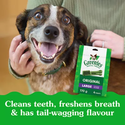 Greenies Adult Large Dog Dental Treats - Natural, Oral Health, Original Flavour - Image 6