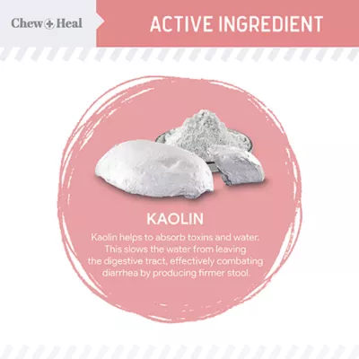 Product Chew + Heal Stop the Diarrhea Kaolin-Based Treatment for Dogs