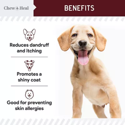 Product Chew + Heal Savory Lamb Flavored Omega Skin + Coat Supplement for Dogs