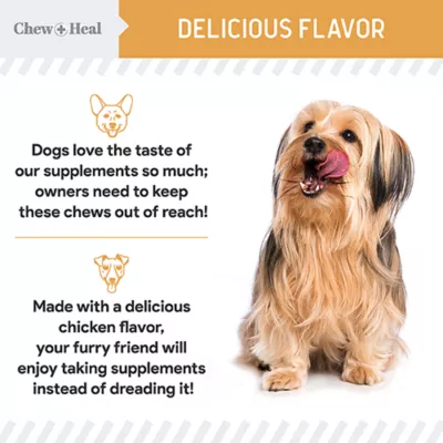Product Chew + Heal Omega Skin + Coat Supplement for Dogs