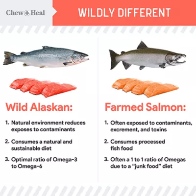 Chew + Heal MSC-Certified Sustainable Wild-Caught Alaskan Salmon Oil with Pump - Image 3