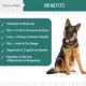 Product Chew + Heal Essential 12-In-1 Multivtiamin Soft Chew Supplement for Dogs