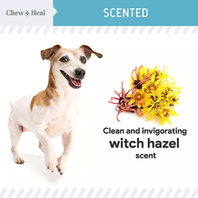 Product Chew + Heal Ear Cleaner for Dogs