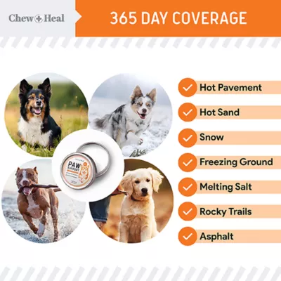 Product Chew + Heal Soothing Paw Support Paw Balm for Dogs