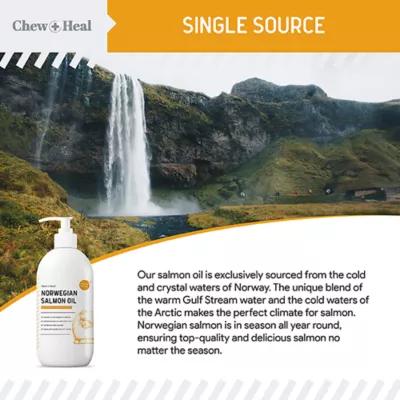 Product Chew + Heal Norwegian Salmon Oil Skin + Coat Supplement for Dogs