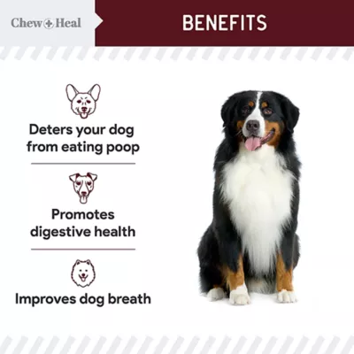 Product Chew + Heal Stop The Poo Coprophagia & Digestive Supplement Savory Lamb Flavor Soft Chews for Dogs