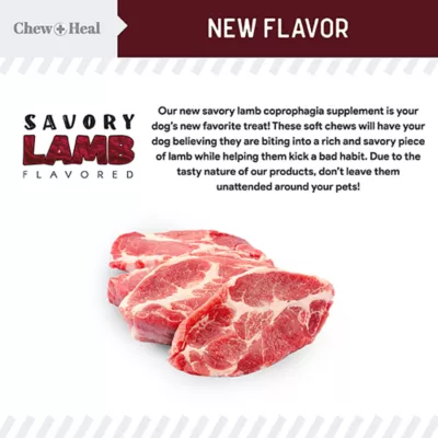 Product Chew + Heal Stop The Poo Coprophagia & Digestive Supplement Savory Lamb Flavor Soft Chews for Dogs