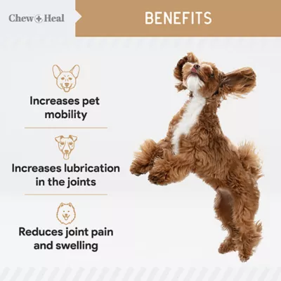 Product Chew + Heal Glucosamine Hip + Joint Peanut Butter Flavored Soft Chews for Dogs