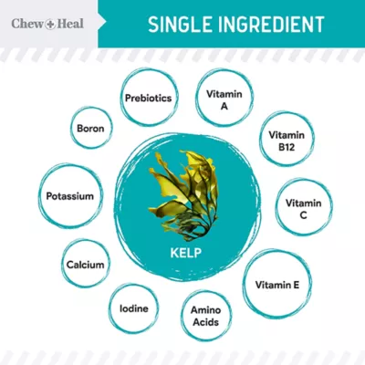 Product Chew + Heal Organic Marine Superfood Icleandic Kelp Powder for Dogs