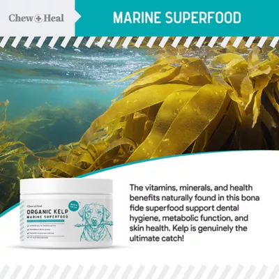 Product Chew + Heal Organic Marine Superfood Icleandic Kelp Powder for Dogs